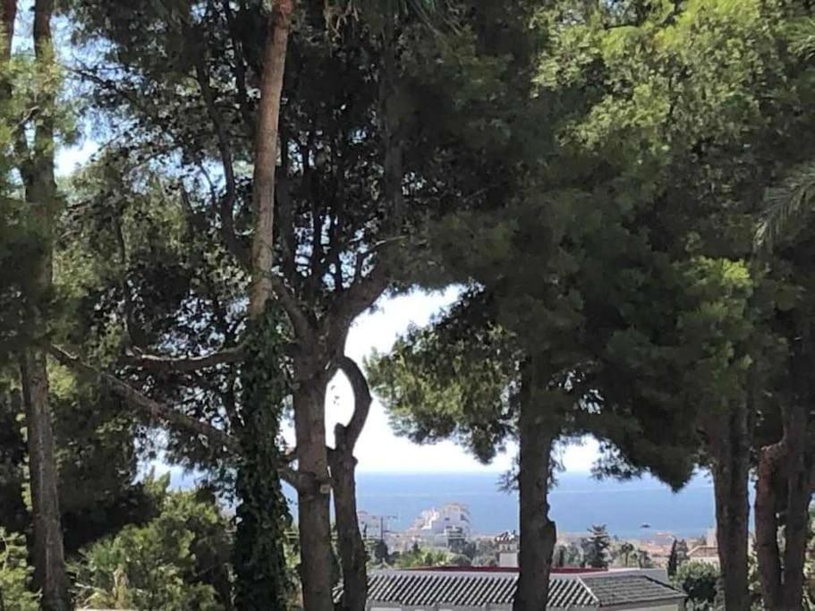 Estudio Torre De Andalucia Marbella Bagian luar foto